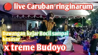 Dawangan kejar Bocil sampai kesasar x treme Budoyo live Caruban ringinarum kendal jateng