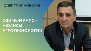 Озимый рапс - нюансы агротехнологии