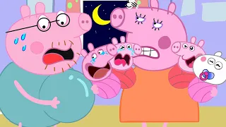 Family Peppa Pig is Pregnant ??? Peppa Pig Funny Animation