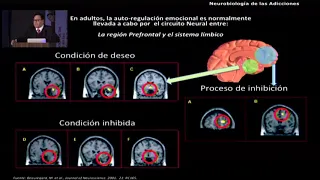 7mo Simposio RIECA Conferencia Magistral, Adicciones y Cerebro