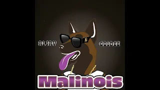 Malinois - AL JAY  feat GOLDEE (Bouyon 2024)