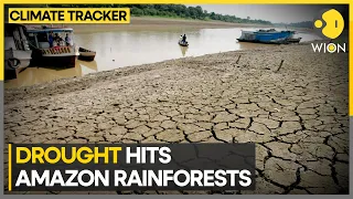 Amazon rainforests: Drought expected to affect 500,000 people in the region | WION Climate Tracker