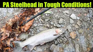 PA Steelhead in Tough Conditions! Steelhead Fishing - Erie, PA - DECEMBER 2023 #steelhead