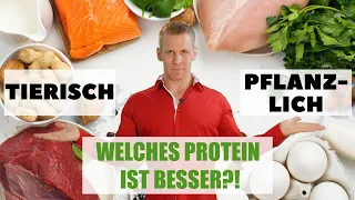 Pflanzliches oder tierisches Eiweiß - welches ist BESSER?!