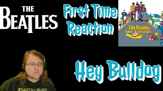 The Beatles Hey Bulldog First Time Reaction