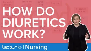 How Do Diuretics Work? | Pharmacology| Lecturio Nursing