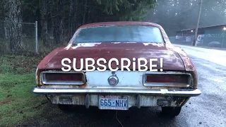 JUNKMARO! 1967 And 1969 Camaro RS Junkyard find!!!