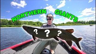 Hunting Down ELUSIVE Maine River MONSTERS! (Insane Boat side EAT)