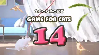 【猫用動画MIX14】ネズミ・ひも・猫じゃらし・鳥30分 GAME FOR CATS 14