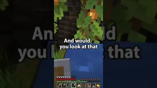 Minecraft Azalea Trees Hidden Trick!