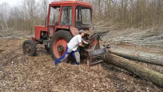 Endrebácsi fát vág, Buxa pedig veri az MTZ-nek..