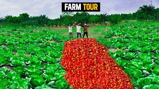 Farm Tour - Inside a 7 Acre Irrigated Vegetable Farm in Ghana