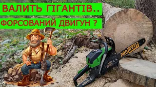 ✅ Гіпер Потужна Бензопила для Лісу Procraft 😲