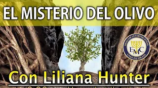 Liliana Hunter: El Misterio del Olivo - EMC Shalom Internacional