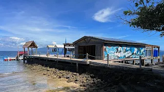 Diving in Puerto Galera, Philippines (December 2023)