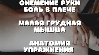 Онемение руки/Боль в плече/Малая грудная мышца/Упражнения