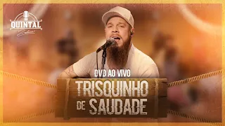 ZELUCCA - Trisquinho de Saudade (DVD NO QUINTAL - AO VIVO)