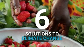 Climate crisis solutions - Food and Agriculture