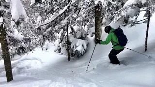 Crescent Ridge Glade | Backcountry Skiing New Hampshire