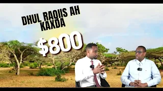 Dhul raqiis ah ($800) - Deeqtoon Project (Kaxda) | FURSADAHA DHULKA 1