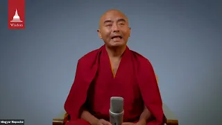 How to be Joyful with Mingyur Rinpoche