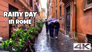 relaxing walk in the rain umbrella and nature sounds for sleep and relaxation 4k ASMR