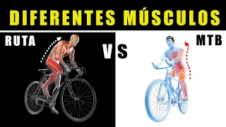 RUTA VS MTB: CUÁL ES MEJOR PARA LA SALUD 🚲 SALUD CICLISTA