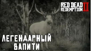 ЛЕГЕНДАРНЫЙ ВАПИТИ - охота в RDR 2