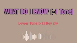 Ed Sheeran What Do I Know Karaoke 12 tones _ Lower tone -1 _ Key D#