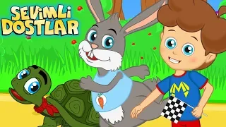 Tavşan ile Kaplumbağa şarkısı 🐢 | Sevimli Dostlar Bebek Şarkıları | Adisebaba Çocuk Şarkıları