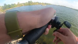 Savage Gear Bluegill in Action