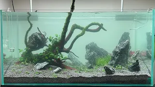 VOICE OF NATURE -NEW 90P SCAPE DETAILED VIEW - AQUA CLUB