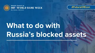 IMF – World Bank Week in Marrakesh - What to do with Russia’s blocked assets