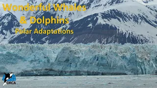 ORCA Lesson 14: Polar Adaptations Part 1