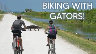 Biking Past Alligators! Is This Even Safe!? | Lake Apopka Wildlife Drive