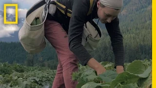 The Call of the Land: Meet The Next Generation of Farmers | Short Film Showcase