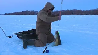 Под этой корягой огромные СУДАКИ ! Рыбалка на ОКЕ по последнему льду! Рыбалка в марте!