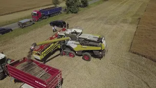 Żniwa Rolbud 2020 | Lexion 8700 | Lexion 770 | Koszenie Rzepaku