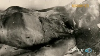 ''The Dyatlov Pass Incident - Russian Yeti  - The Killer Lives''