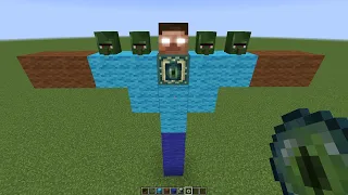 what if you create a HEROBRINE ZOMBIE VILLAGER in MINECRAFT