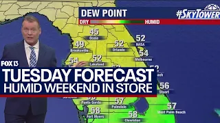 Tampa weather | warm day, dry for now on March 12, 2024