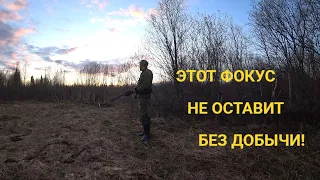 ВЕСЕННЯЯ ОХОТА НА ВАЛЬДШНЕПА. ТАК Я ЕЩЕ НЕ СТРЕЛЯЛ!#охота#вальдшнеп