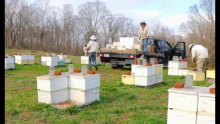 Warm Winter Weather and Checking Our Bees For Stores