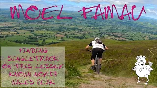 Moel Famau - finding singletrack on the biggest hill in the Clwydian Range in North Wales