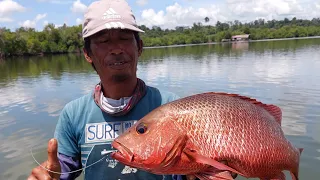 ASLI KUAT SEKALI TARIKAN IKAN INI, REEL PANCING SAMPAI MENJERIT KENCANG, MANCING MUARA BEBANIR BERAU