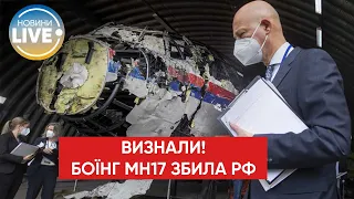 💪У ПАРЄ визнали, що Boeing рейсу MH17 був збитий у 2014-му російською ракетою "Бук"