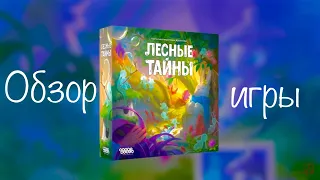 Обзор игры «Лесные тайны»