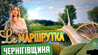 Ле маршрутка. черниговщина