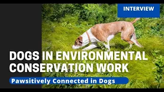 Dogs in Environmental Conservation Work