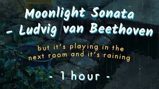 it's raining and moonlight sonata by beethoven is playing in the next room (1 hour sleep/study)